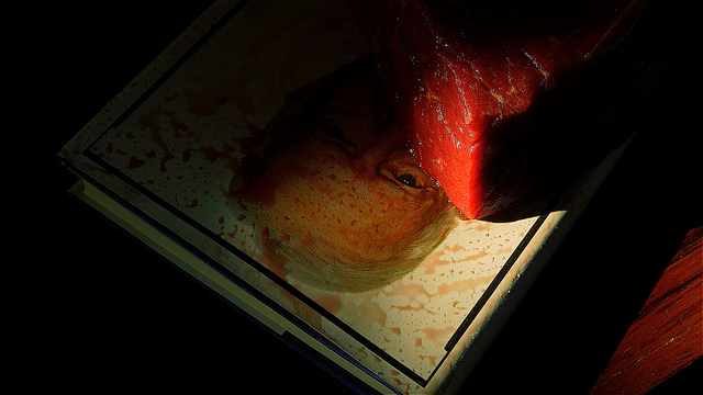 24372708959_43a93d7ccb_z