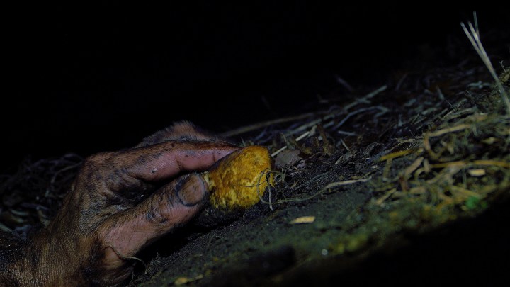 24777590155_f6bb1cf01c_k