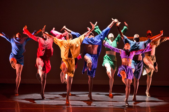 DCDC Urban Impulse Shed