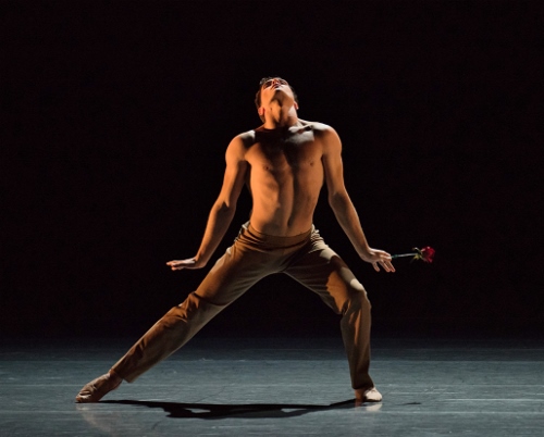 patric-palkens_near-light-500x402