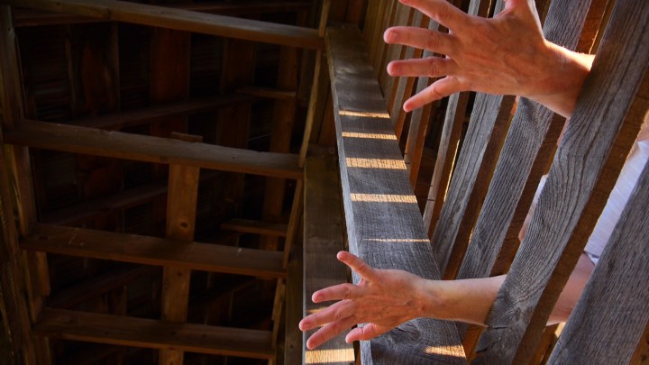 alter idem photo 1 hands