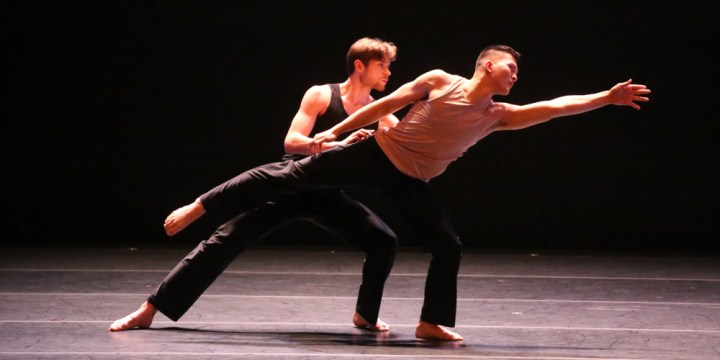 Meditation on a Square - IMG_0062